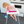 Load image into Gallery viewer, Bottle Bungee PINK