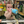 Load image into Gallery viewer, Bottle Bungee TAN