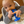 Load image into Gallery viewer, 2-in-1 Teether & Training Spoon BLUE