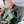 Load image into Gallery viewer, Toy Bungee Tether SPEARMINT